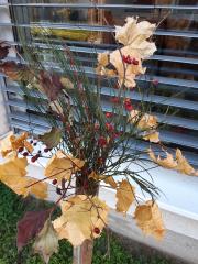 6. šopek presenečnja iz gozdnih plodov